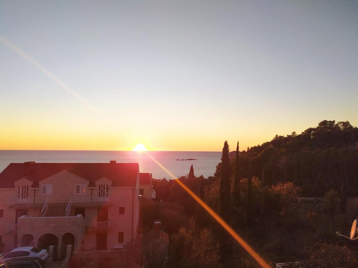 Honey Bee Cavtat Διαμέρισμα Εξωτερικό φωτογραφία