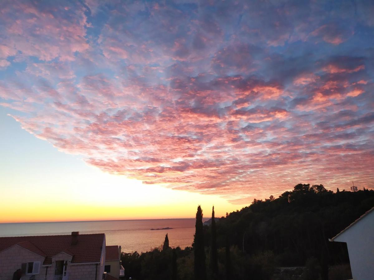 Honey Bee Cavtat Διαμέρισμα Εξωτερικό φωτογραφία